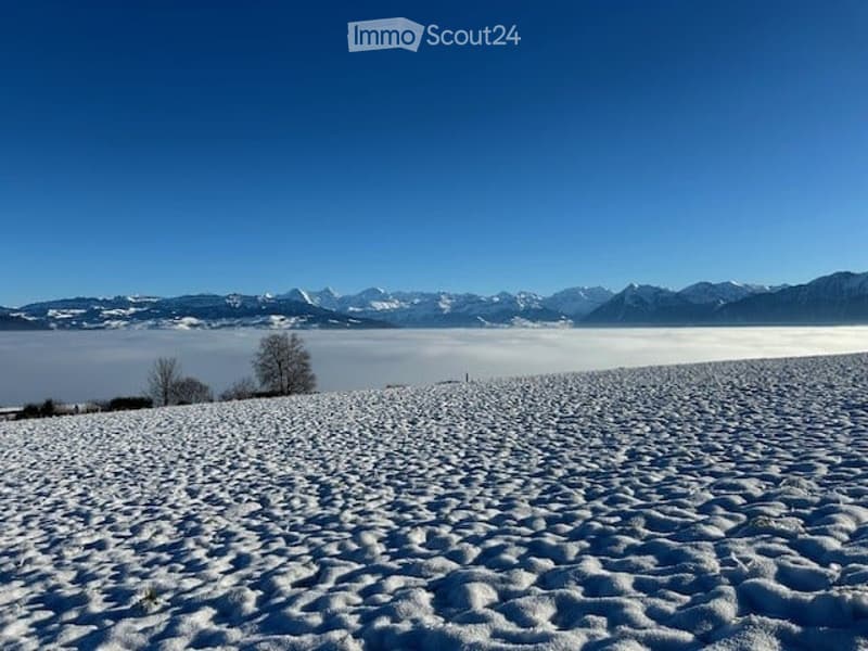 Snow-covered field with distant snow-capped mountains under a clear blue sky.
