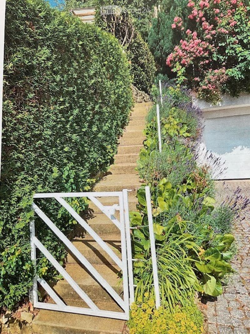 A narrow garden pathway lined with lush green hedges and vibrant flowering plants, leading to a white metal gate.