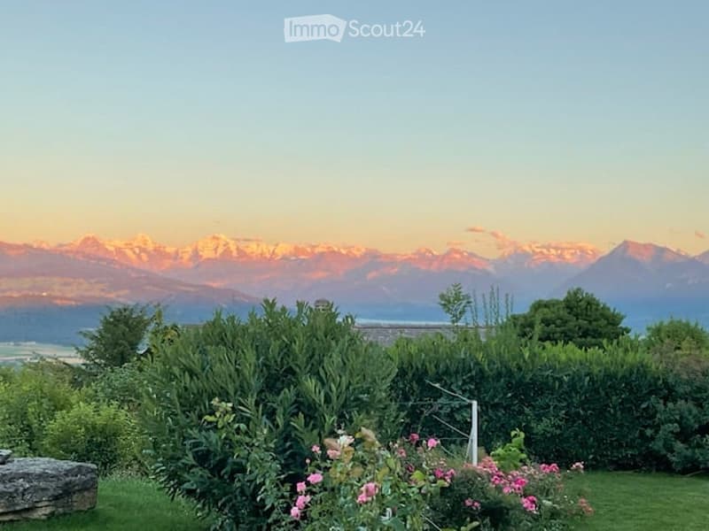 Garden with lush greenery, flowering bushes, and a scenic mountain view in the background.