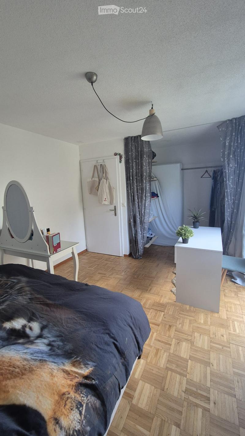 Cozy bedroom with wooden flooring, a large bed with dark bedding, a vanity with a mirror, a desk with a chair, and a small potted plant on the desk.