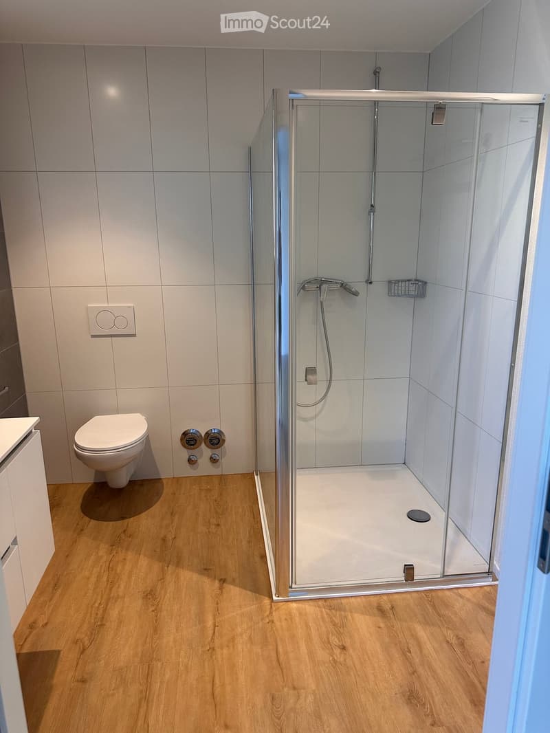 Modern bathroom with a toilet, a glass-enclosed shower, and a wooden floor.
