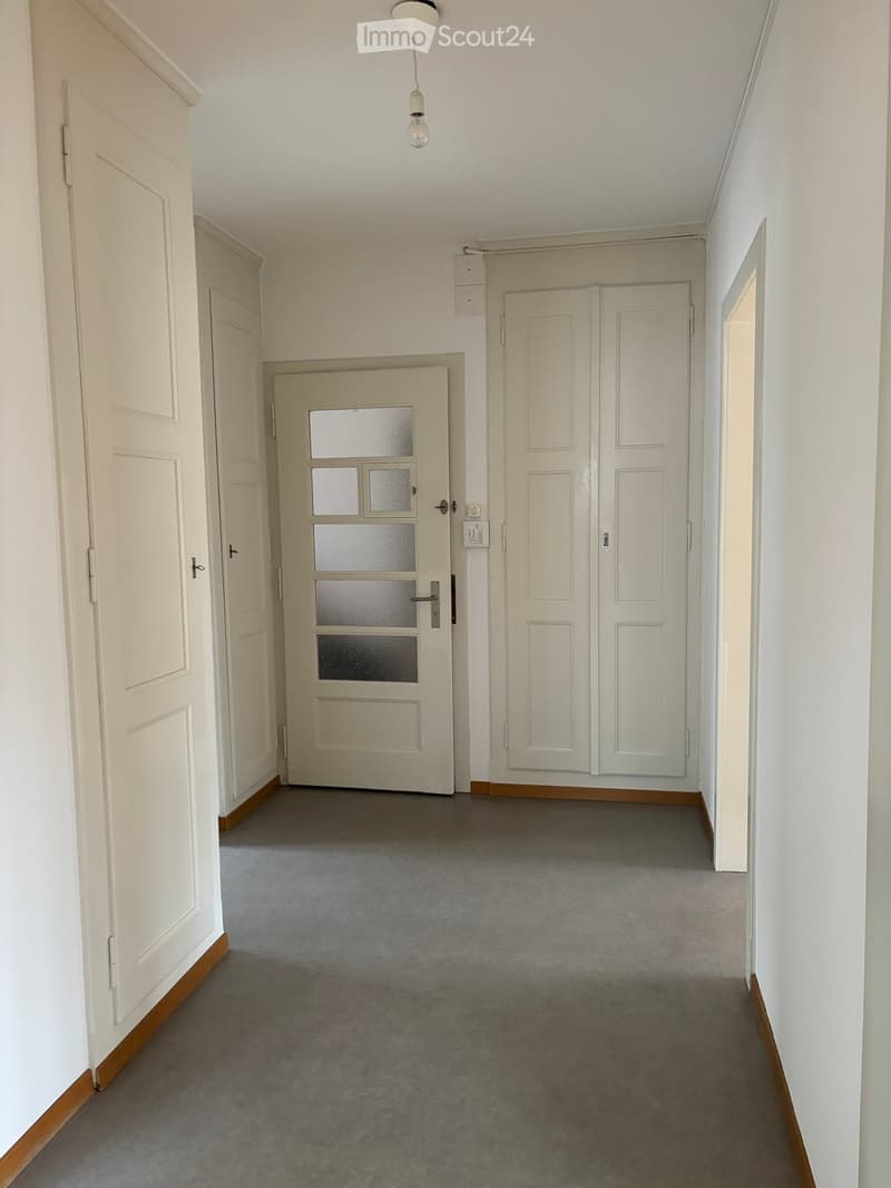 Empty hallway with grey carpet, white walls, and several doors including a double door and a single door with frosted glass panels.