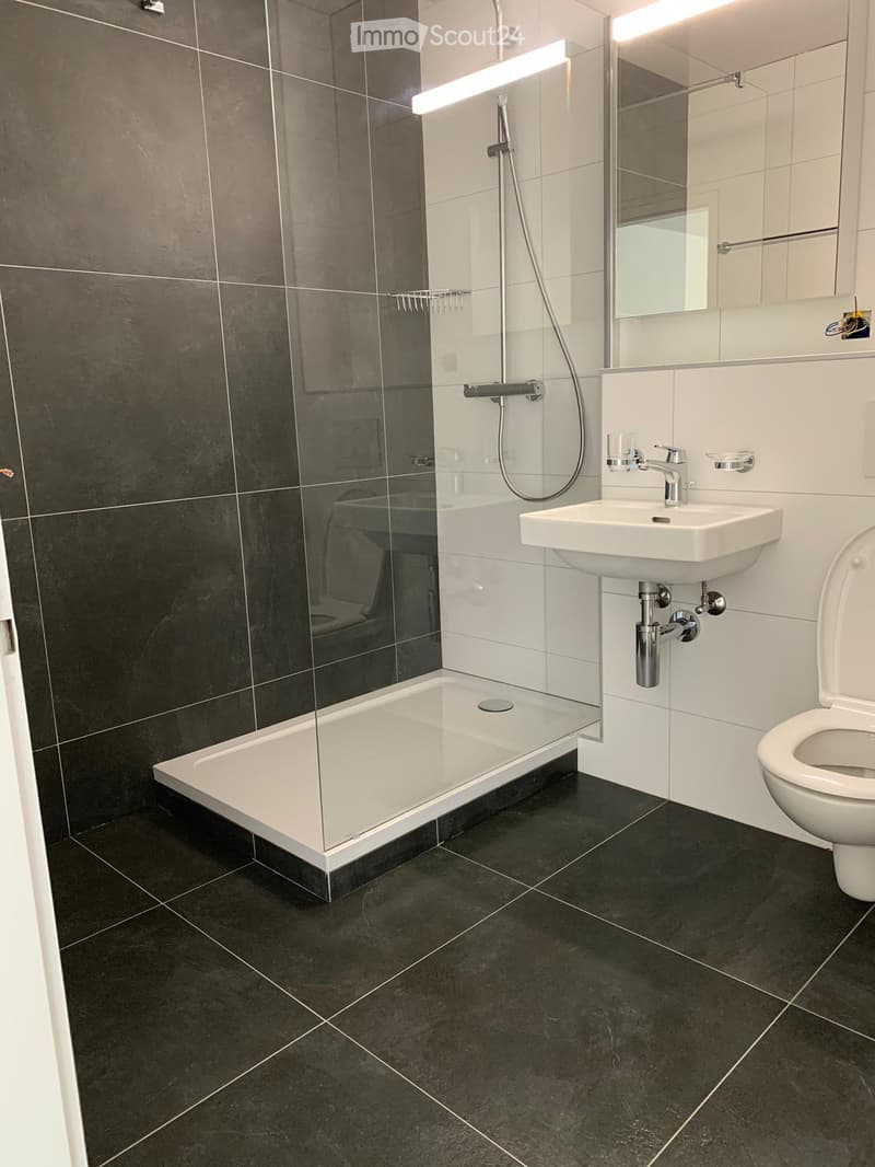 Modern bathroom with dark tiled walls and floor, white sink, toilet, and glass-enclosed shower with a handheld showerhead.
