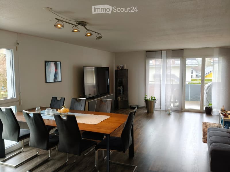 Modern dining area with a wooden dining table, six chairs, a television, a cabinet, and a potted plant near the sliding glass doors.