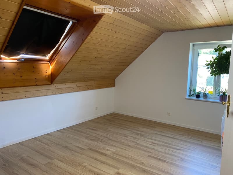 Empty room with wooden flooring, white walls, skylight window, and a regular window with potted plants on the sill.