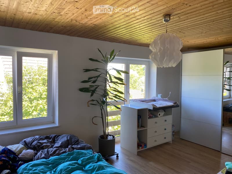 Bright bedroom with wooden flooring, large windows, a bed with blue bedding, a wardrobe, a drawer unit, and a potted plant near the window.