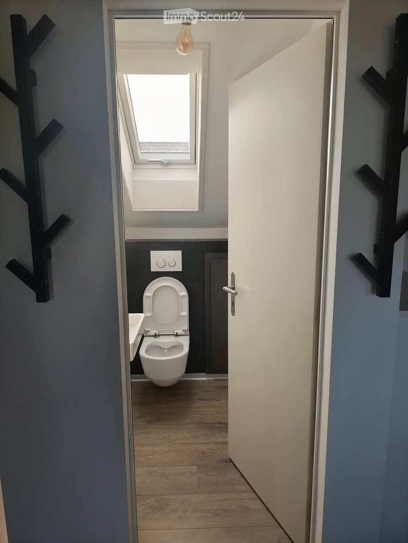 Modern bathroom with a toilet, sink, and wooden flooring, viewed from a hallway with a skylight above.