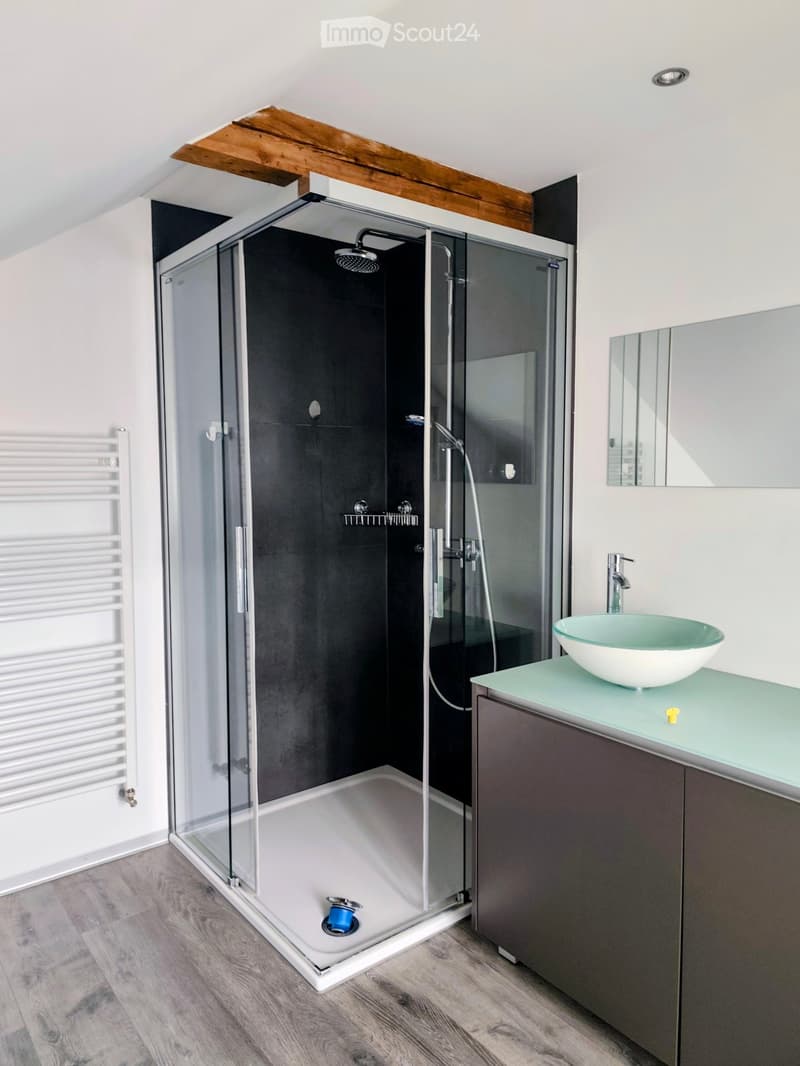 Modern bathroom with a glass-enclosed shower, a white sink with a modern faucet, a mirror, and a radiator. The shower has a sleek design with a handheld showerhead and a built-in shelf.