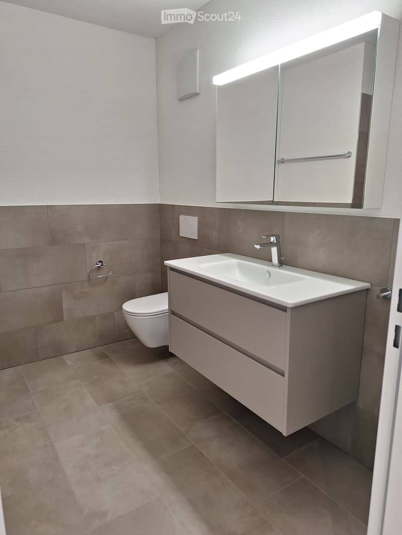 Modern bathroom, white and grey tile, under-mount sink, modern toilet, full-length mirror with lighting, cabinet under sink, wall-mounted power outlet, wall-mounted towel rack