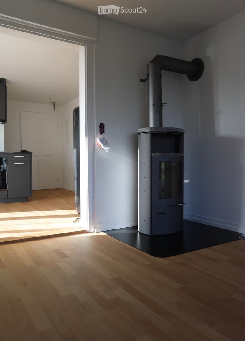 Modern room with light wooden flooring, grey walls, and a contemporary wood-burning stove with a black chimney pipe.