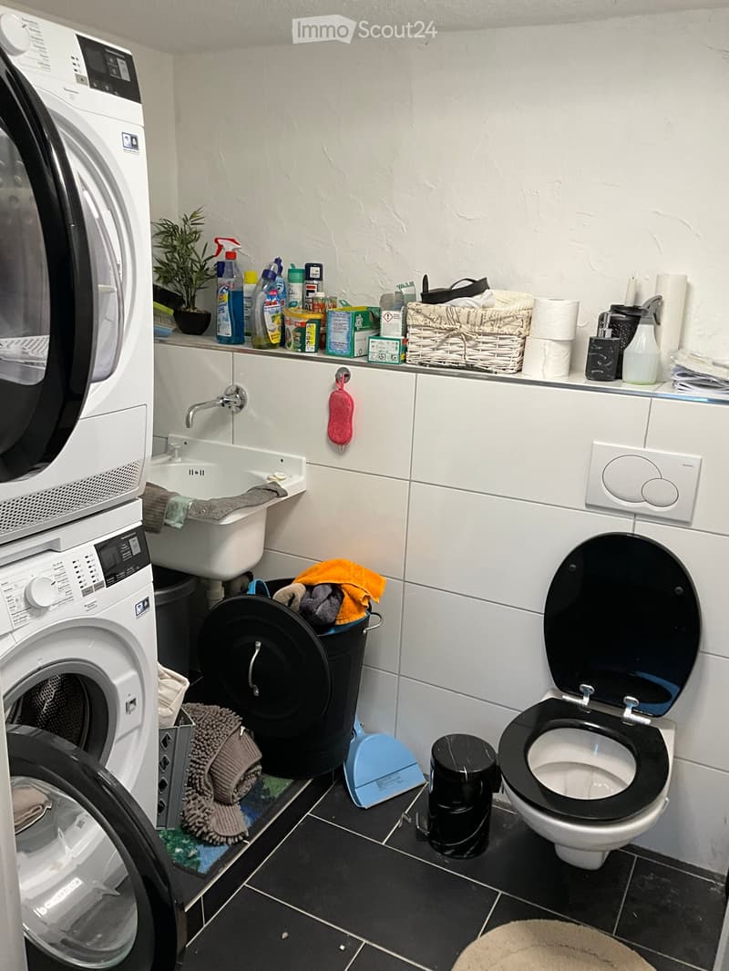 Bathroom with a washing machine, toilet, sink, and various cleaning supplies on a shelf. Includes a wicker basket, towels, and a small plant.