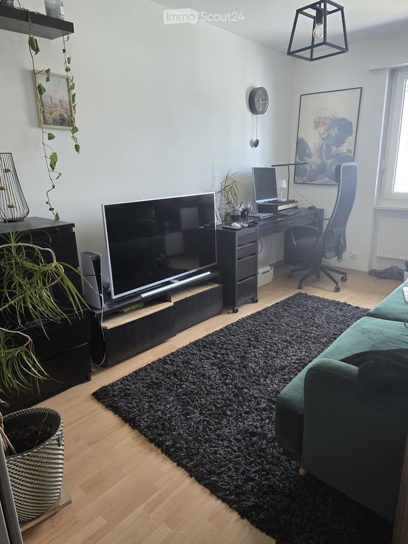 A modern living room with a large black shag rug, a green sofa, a TV on a black stand, a desk with a computer, and a hanging pendant light.