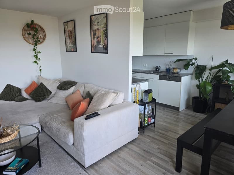 A modern, open-concept living and dining area with a grey sectional sofa, colorful throw pillows, a glass coffee table, a black dining table, and a small kitchen area with white cabinets and a countertop.