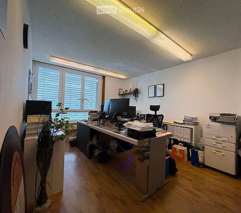 Office space with wooden flooring, large window with blinds, desk with computer monitors, chair, printer, filing cabinet, and decorative plants.