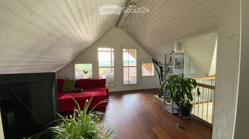 Bright living room with wooden floors, slanted wooden ceiling, large windows, red sofa, potted plants, exercise bike, and a TV screen.