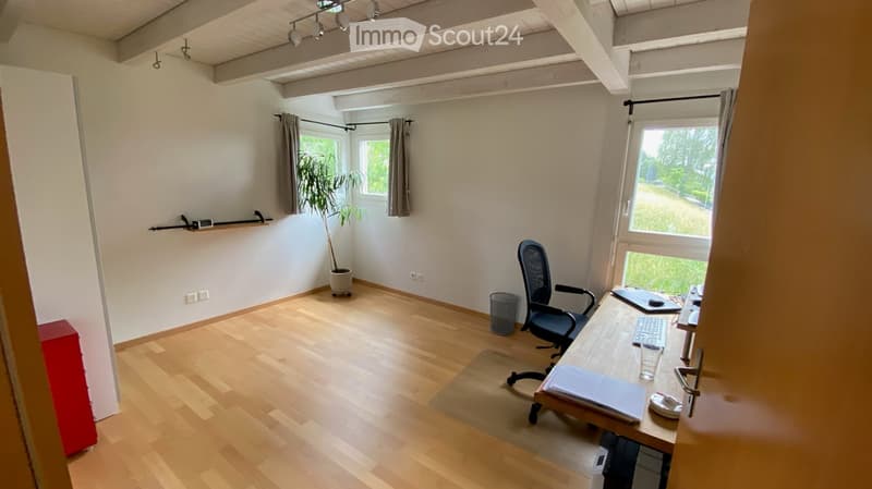 Bright, unfurnished room with wooden flooring, large windows, a desk with a chair, a potted plant, and a shelf on the wall.