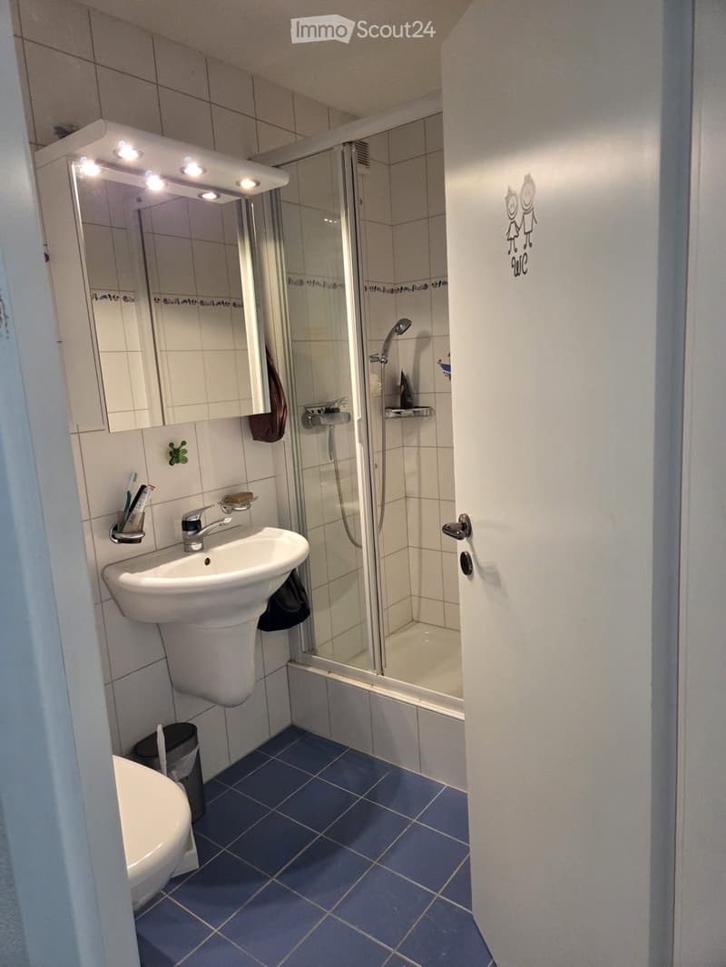 Modern bathroom with blue tiled floor, white sink, mirror with built-in lighting, glass-enclosed shower, and a toilet. Includes a toothbrush holder and a small shower shelf.