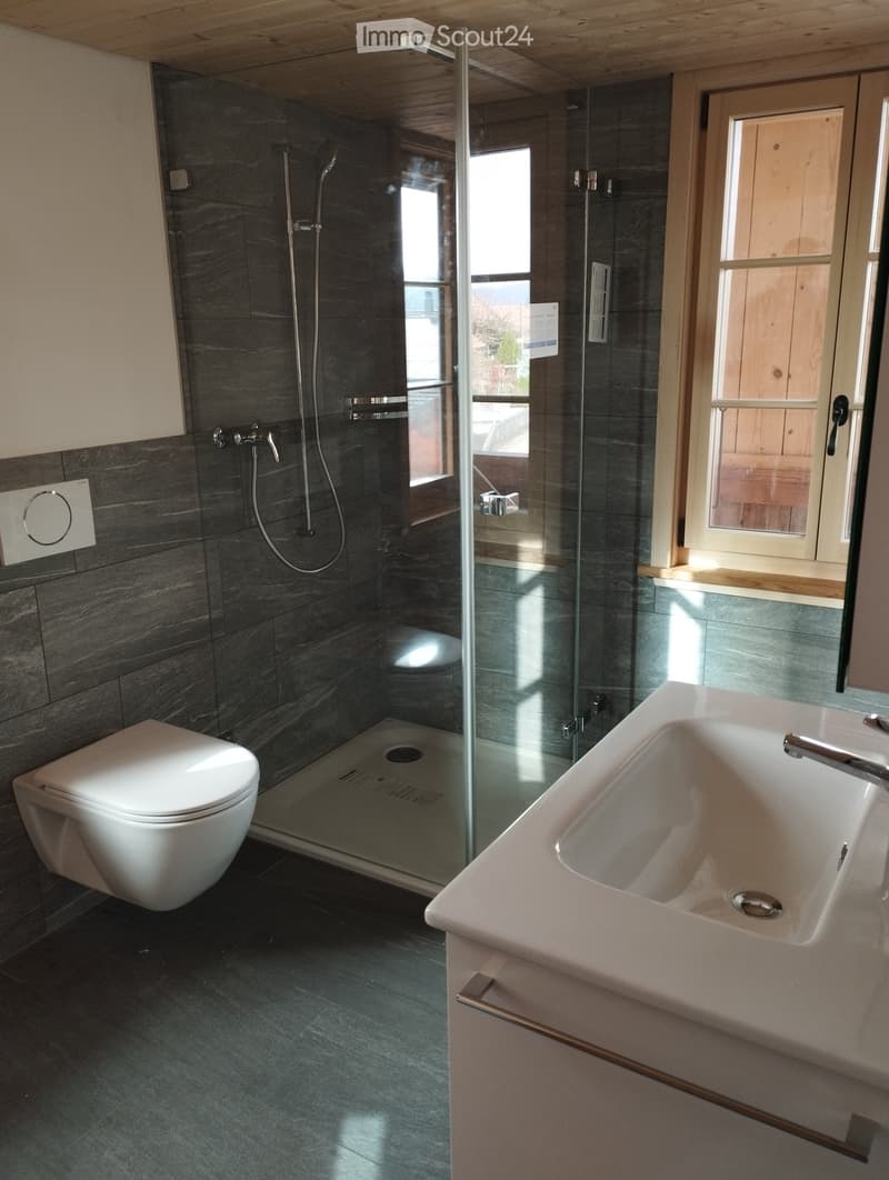 Modern bathroom with a white toilet, a large sink with a chrome faucet, and a glass-enclosed shower with a modern showerhead. The walls are tiled in dark grey stone, and the floor is dark grey tile.