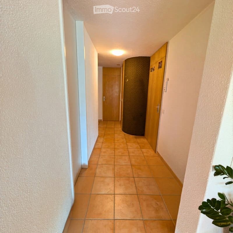 A narrow hallway with tiled flooring, light-colored walls, and wooden doors on both sides. A small plant is visible on the right side near the end of the hallway.