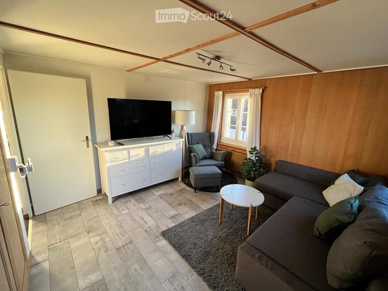 Modern living room with grey sofa, coffee table, armchair, ottoman, floor lamp, TV, and plant. Wooden walls and ceiling beams.