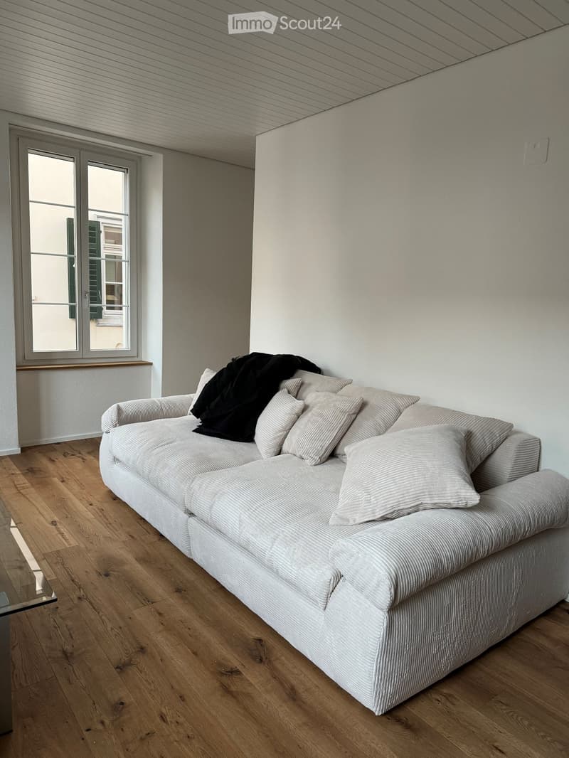 Modern living room with a white sofa, multiple pillows, and a blanket on top, placed on a wooden floor. A large window with a view of the outside is visible in the background.