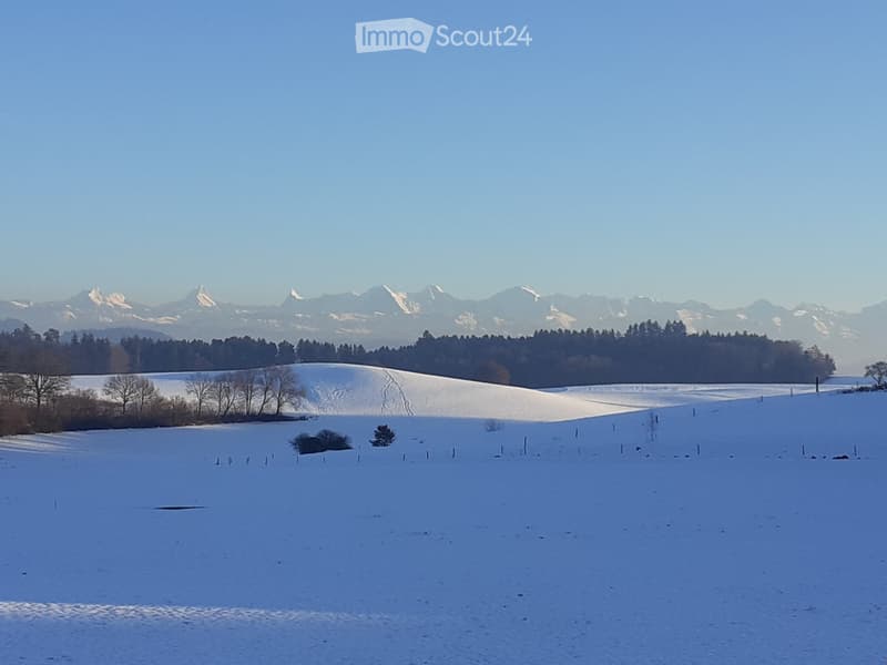 Snow-covered field with scattered trees and distant snow-capped mountains under a clear blue sky.