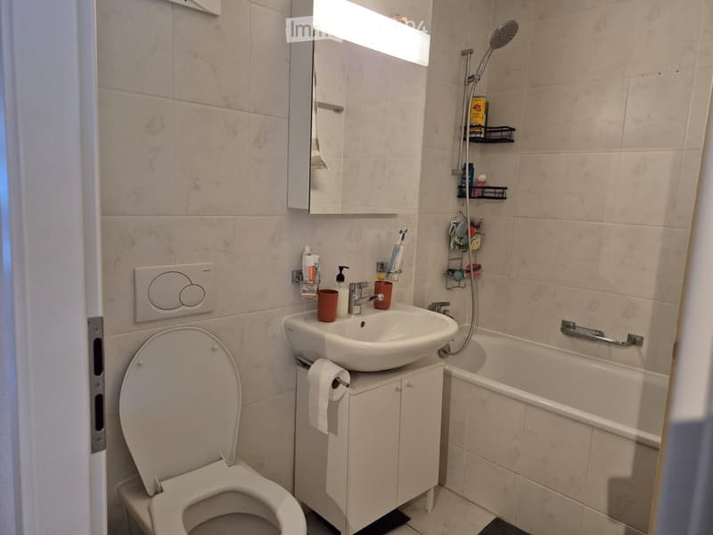 Modern bathroom with a toilet, sink, bathtub, and mirror. Includes a cabinet under the sink, a shower head, and various toiletries.