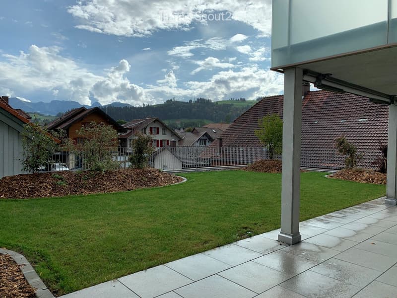 Well-maintained lawn with mulch borders, concrete patio, and distant mountain view.