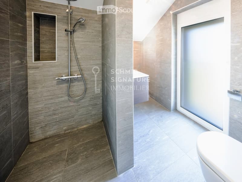 Modern bathroom with dark grey tiled walls, a glass shower enclosure, and a white toilet. The floor is tiled in a light grey marble pattern.