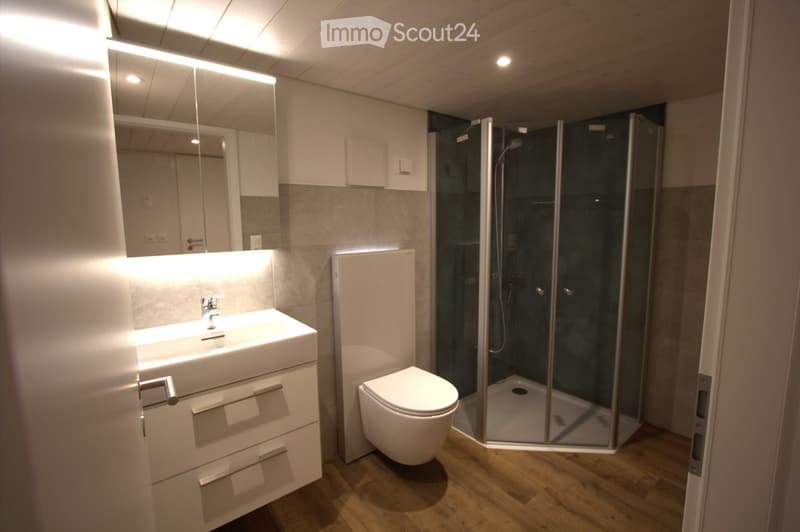 Modern bathroom with a white sink, mirror, toilet, and glass-enclosed shower stall. The room features wooden flooring and built-in storage cabinets.