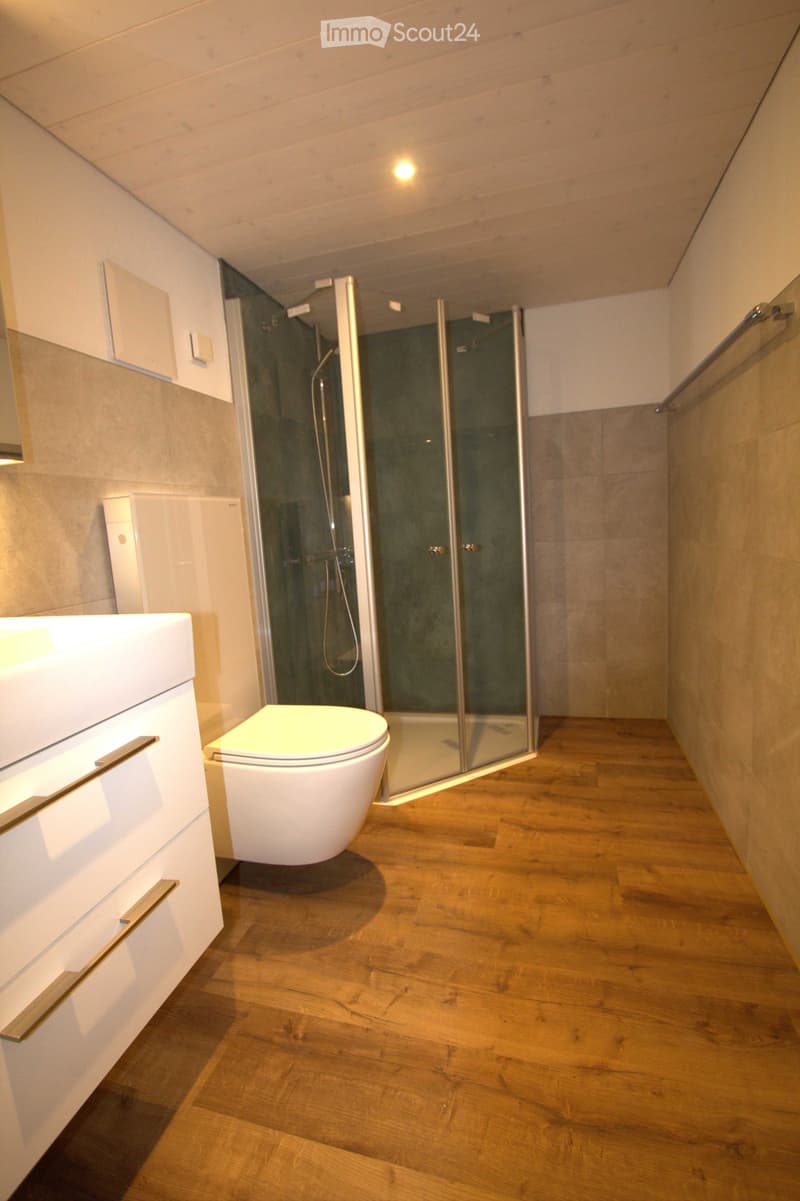 Modern bathroom with wooden flooring, white toilet, glass-enclosed shower stall, and white cabinet with metallic handles.