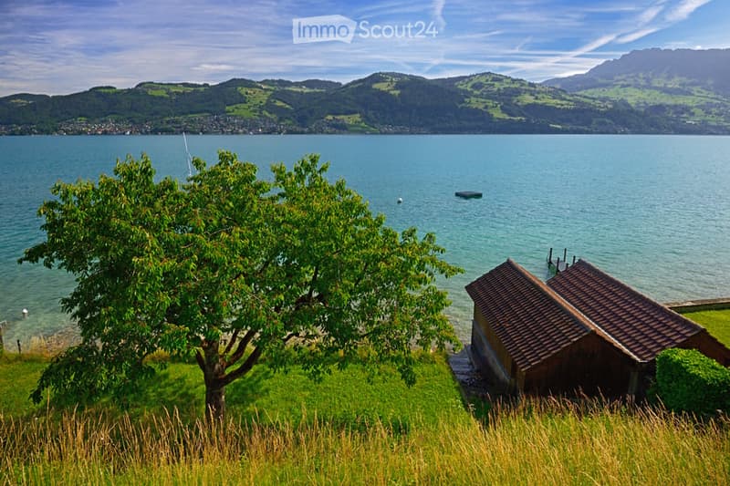 Scenic lakeside view with a small wooden boathouse, lush green grass, and distant mountains.