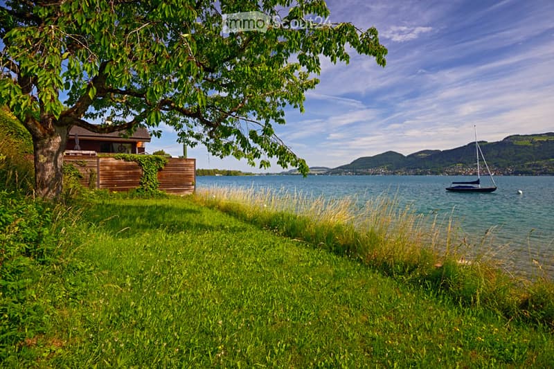 Lush green garden area near a lake with a wooden fence, a tree, and a sailboat in the background.