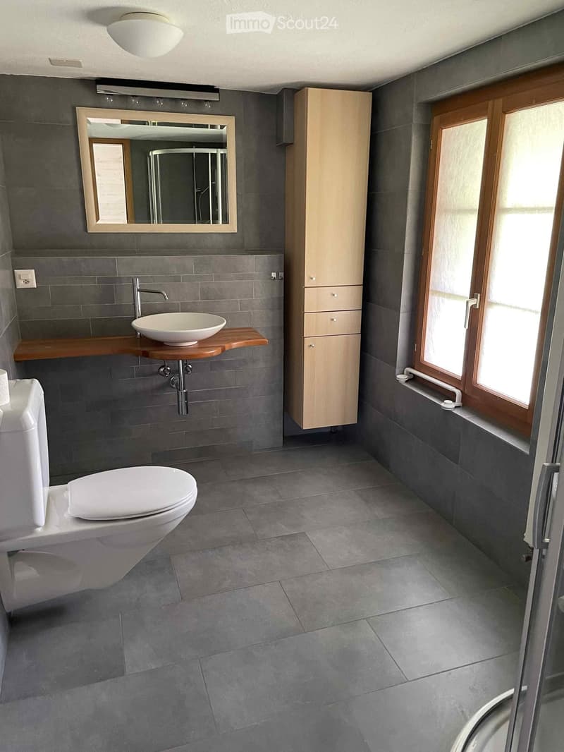 Bathroom. Modern bathroom with grey tiles, a white toilet, a wooden sink, a mirror, and a light-colored cabinet.