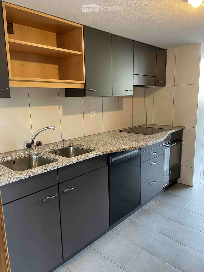 Kitchen. Modern kitchen with granite countertop, stainless steel sink, dishwasher, and built-in oven. Grey cabinets and light wood shelving are visible.