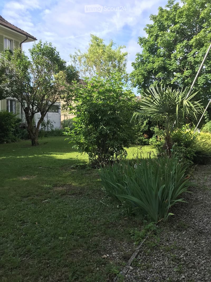 Première location dans un bel immeuble ancien dans le quartier de Champagne (11)