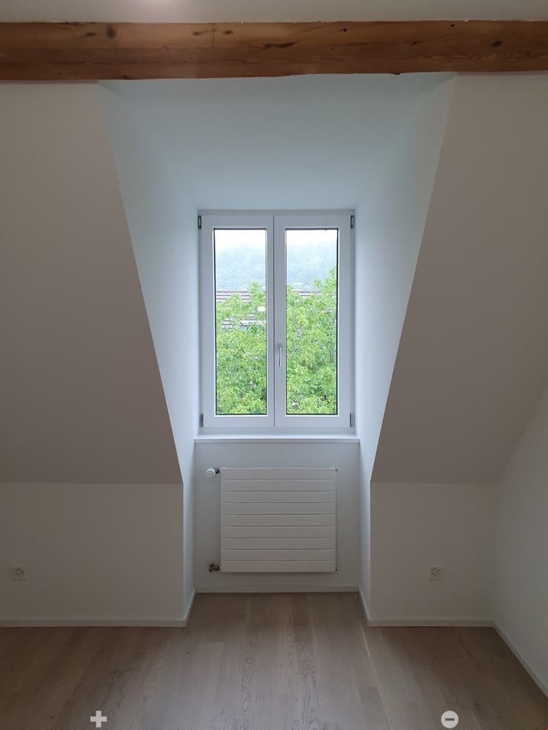 Erstvermietung in tollem Altbau im Champagne Quartier (5)