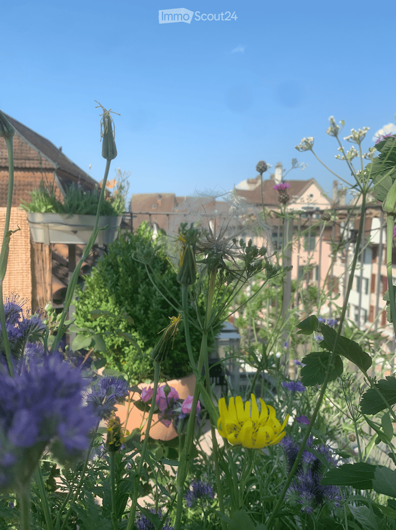 A garden area with various flowering plants, including purple and yellow blooms, set against a backdrop of urban buildings.