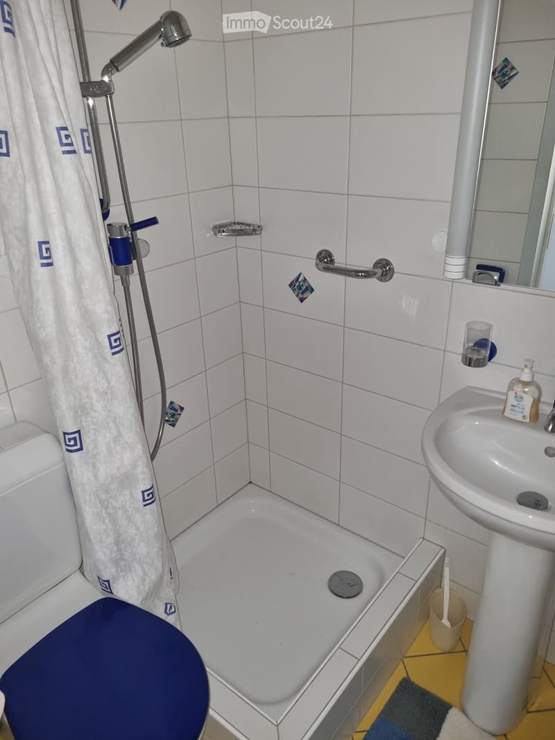 Modern bathroom with white tiled walls, a bathtub with a handheld showerhead, a toilet with a blue seat cover, a sink with a soap dispenser, and a towel hanging on the side.