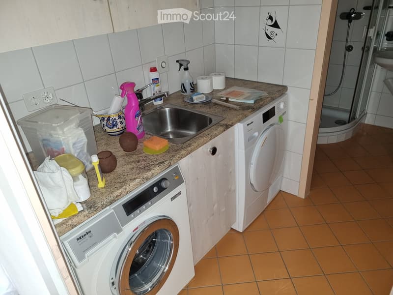 Bathroom with a sink, washing machine, dishwasher, and various cleaning supplies on the counter. The floor is tiled, and the walls are tiled with white tiles.