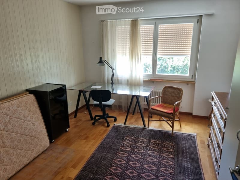 A furnished room with a wooden floor, a sofa, a desk with a chair, a table lamp, a wicker chair with a red cushion, and a patterned rug.