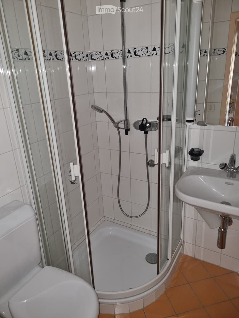 Modern bathroom with a corner shower, toilet, and sink. The shower has a glass enclosure and a handheld showerhead. The sink has a modern faucet and is mounted on a white countertop.