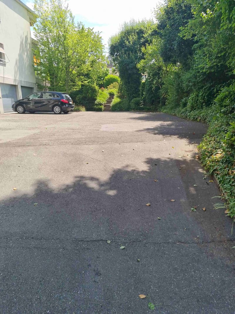 Driveway leading to a garage with a parked car, surrounded by greenery and trees.