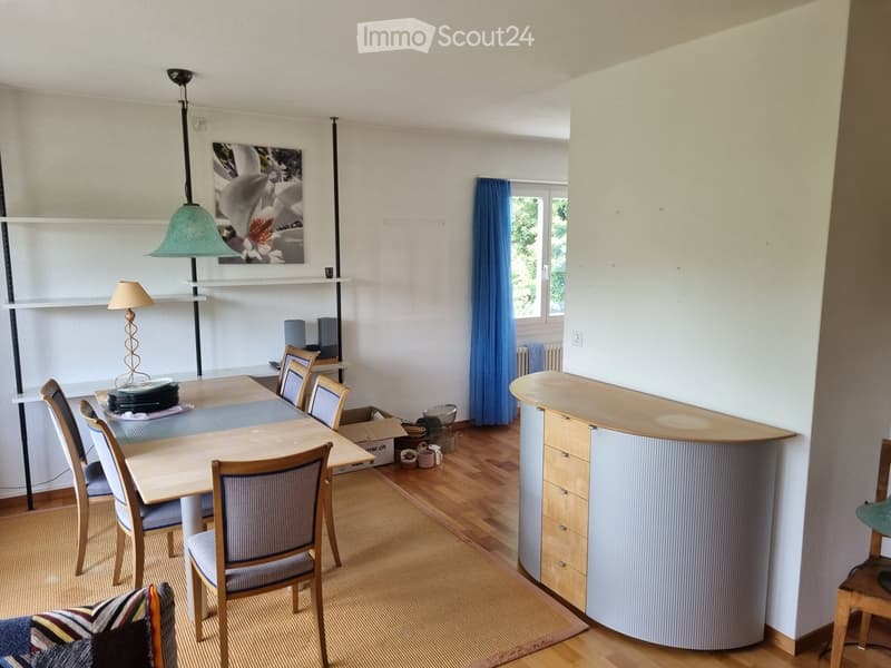 Dining area with a wooden table, chairs, bar counter, shelves, and a lamp. The room has wooden flooring and a window with blue curtains.