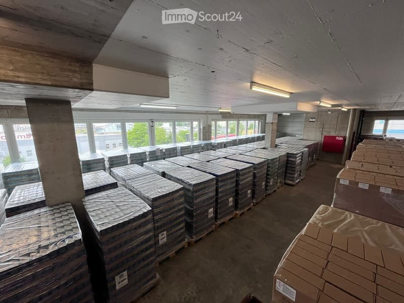 large warehouse with many pallets, white ceiling, many windows, fluorescent lighting