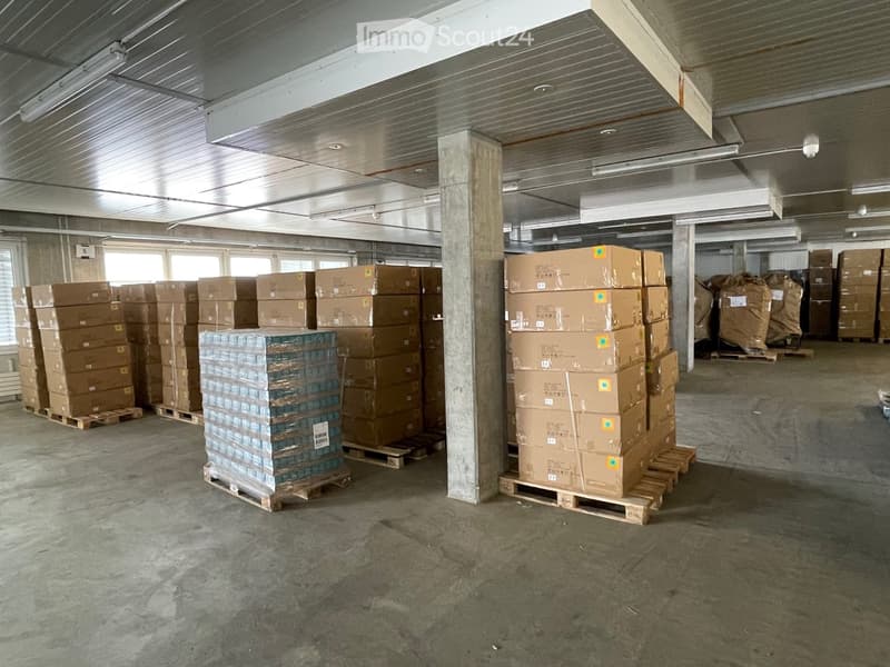 A storage room with large stack of cardboard boxes, a pile of plastic bottles, and storage boxes in the corner. The room has a concrete floor, metal ceiling with lamps, and concrete pillars. Large windows are at the back of the room.