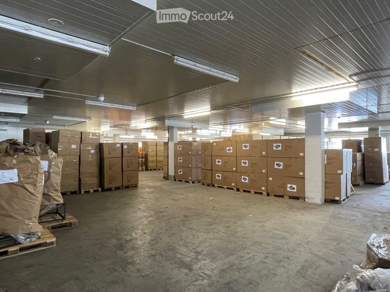 Warehouse room with boxes on pallets, large open space, high ceiling with metal beams, multiple fluorescent lights.