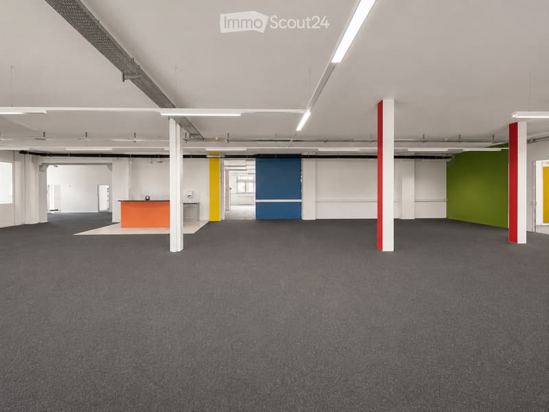 Open, empty room with grey carpeted floor, white walls, and colorful accent pillars. No furniture or equipment present.