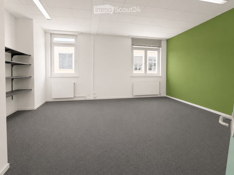 Empty room with white walls, grey carpet, two windows, radiators, and a black shelving unit on the left side.