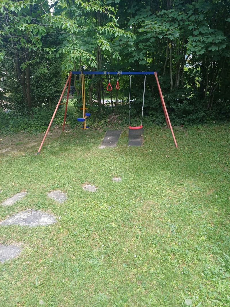 A grassy backyard with a swing set featuring swings and monkey bars, surrounded by trees and shrubs.